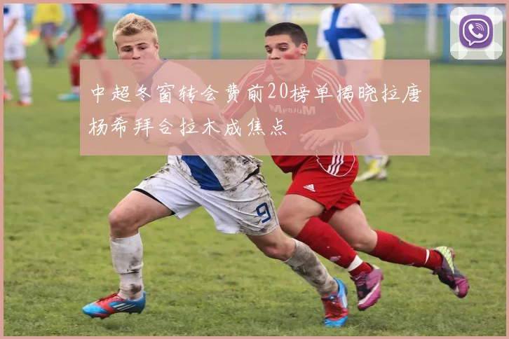 中超冬窗转会费前20榜单揭晓拉唐杨希拜合拉木成焦点